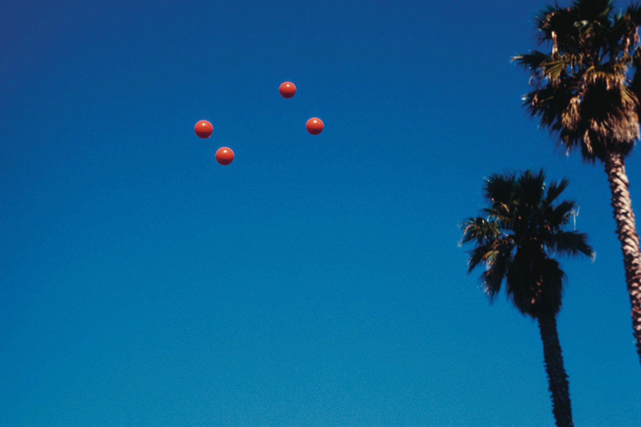 PARADISE IS NOW – Palm Trees in Art